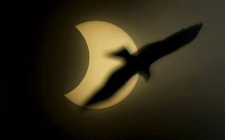 Picture 16 of Impressive image of the longest eclipse of 1,000 years