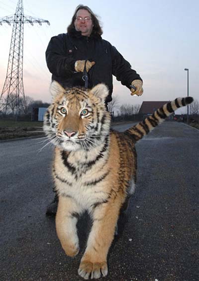 Picture 10 of Impressive in the week