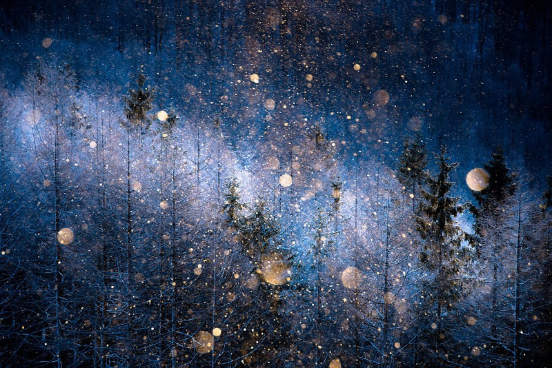 Picture 11 of Impressive moment from the 2017 World Photography Competition