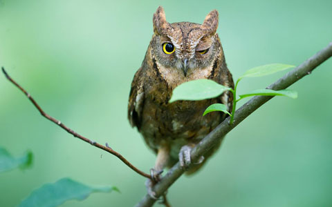 Picture 10 of Impressive moment of animals