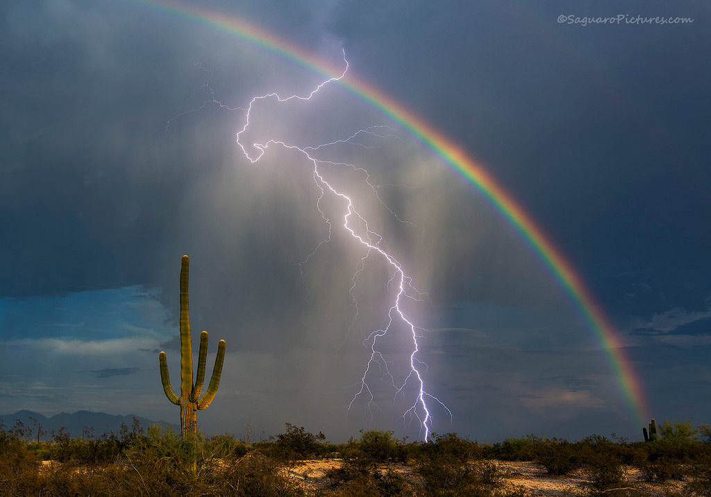 Picture 6 of Impressive moment with nature's