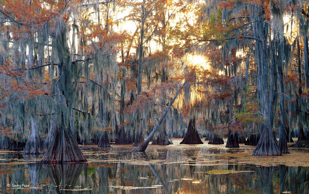 Picture 12 of Impressive nature photos of 2015