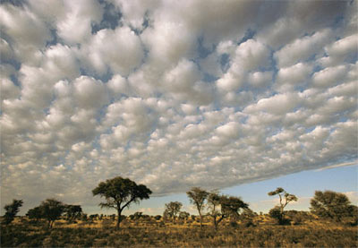 Picture 10 of Impressive photo of cloudy sky