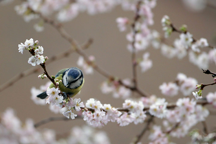 Picture 3 of Impressive photos of animals in the week