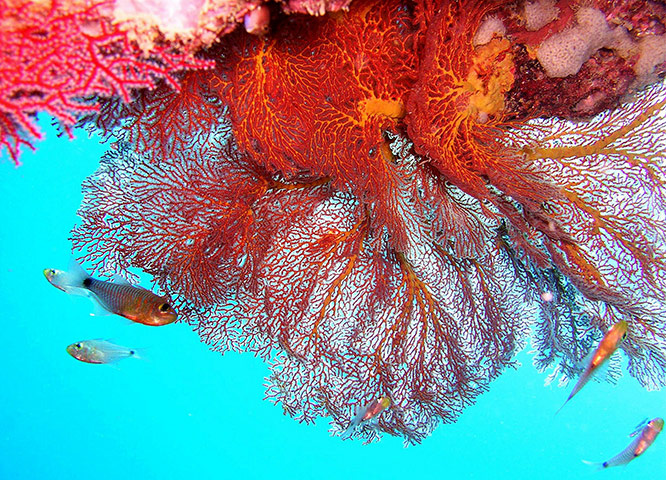 Picture 6 of Impressive photos of animals in the week
