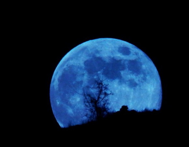 Picture 3 of Impressive points about Blue Moon
