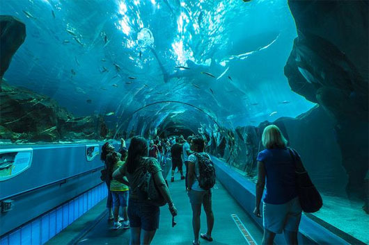 Picture 6 of Impressive underwater structures