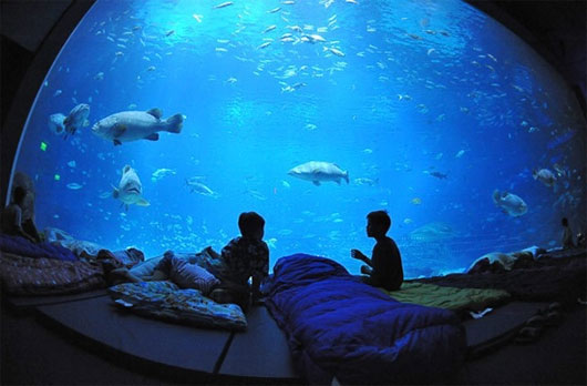 Picture 7 of Impressive underwater structures