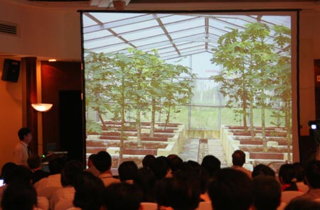 Picture 1 of In 2011 began planting genetically modified plants