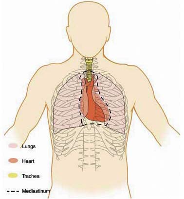 Picture 1 of In 2020 can cancer in Asia increase suddenly?
