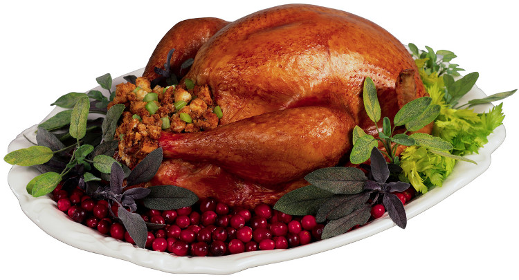 Picture 2 of In 2030, turkeys will be raised in the laboratory
