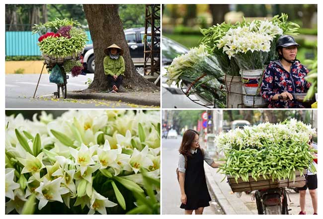Picture 5 of In April, a pure lilies went down to Hanoi street