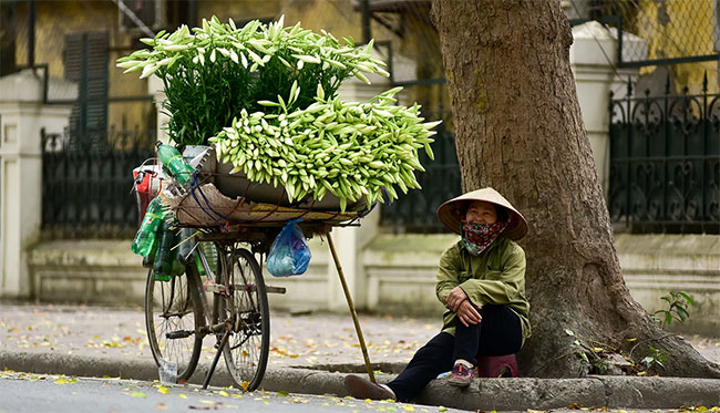 Picture 6 of In April, a pure lilies went down to Hanoi street
