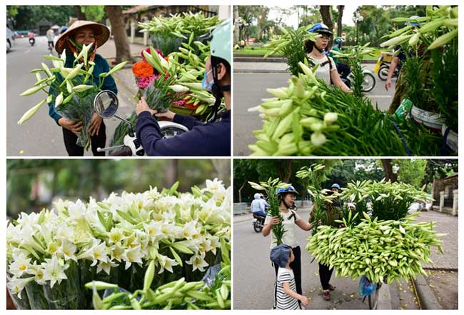 Picture 9 of In April, a pure lilies went down to Hanoi street