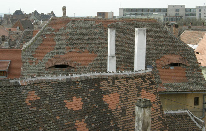 Picture 8 of In Dracula's hometown, even the house makes people feel cold!