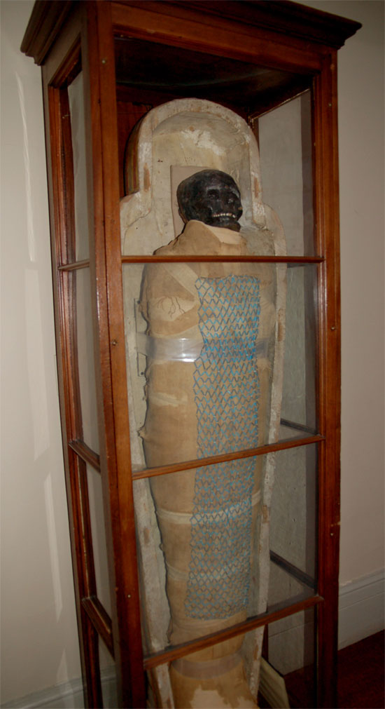 Picture 4 of In the 2500-year-old mummy is a ... broomstick