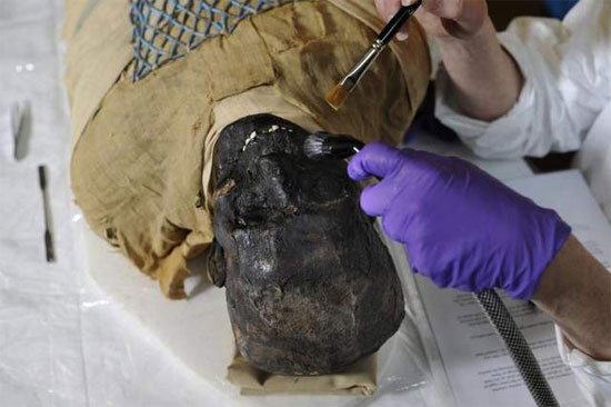 Picture 5 of In the 2500-year-old mummy is a ... broomstick