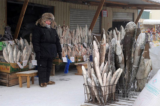 Picture 6 of In the coldest place in the world, everything is frozen, what do people eat?