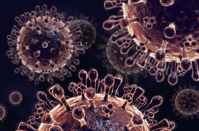 Picture 3 of In the near future there will be bird flu and it is even more dangerous than bird flu and swine flu