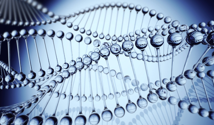 Picture 1 of In the near future, we can own a genetic map with only 100 USD