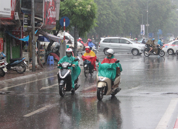 Picture 1 of In the north, it affects the cold at the end of the season, and cold rain and humidity increase