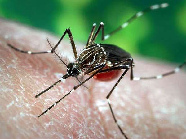 Picture 3 of In the plethora of deadly epidemics, what is the most dangerous virus in history?