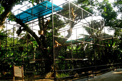 Picture 1 of Inauguration of Hon Me Wildlife Rescue Station