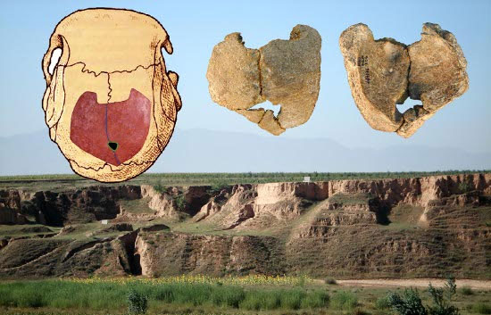 Picture 1 of Incest has happened 'like a meal' in ancient times?