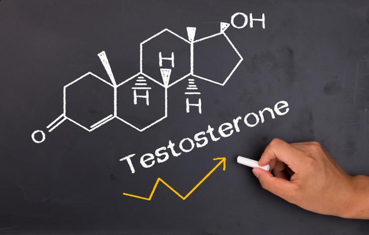 Picture 1 of Increased testosterone men will be more impulsive