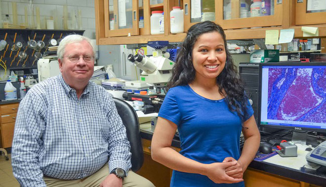 Picture 3 of Increasing consumption of marine fish may reduce breast cancer growth by up to 50%.