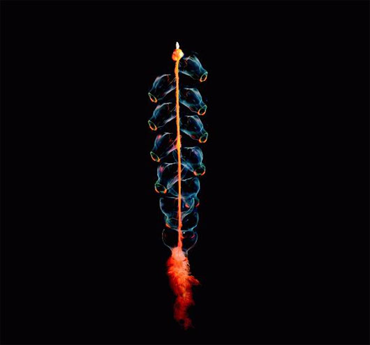 Picture 15 of Incredibly unique alien creatures