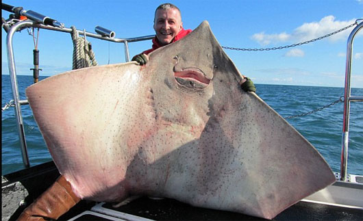 Picture 6 of Incredibly unique alien creatures