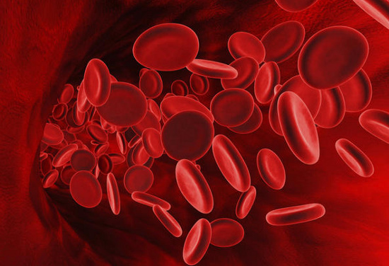 Picture 1 of India announced the successful development of artificial blood