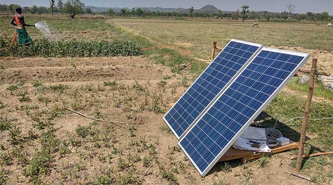 Picture 2 of Indian farmers use ... solar energy to water plants