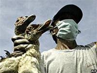 Picture 1 of Indonesia: Two more people die from bird flu
