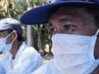Picture 1 of Indonesia: Two more people infected with bird flu