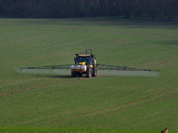 Picture 1 of Infection with less pesticides, brain damage