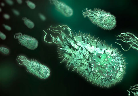 Picture 6 of Infiltrate the world of bacteria inside the human body