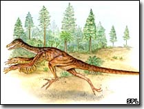 Injured dinosaur fossils provide lots of valuable information images 1