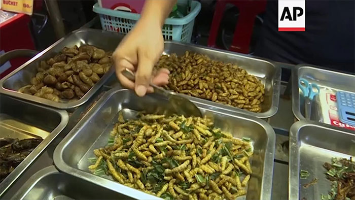 Picture 7 of Insect farming makes ... junk food