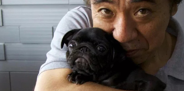 Picture 1 of Inside the dog mirror factory in Korea