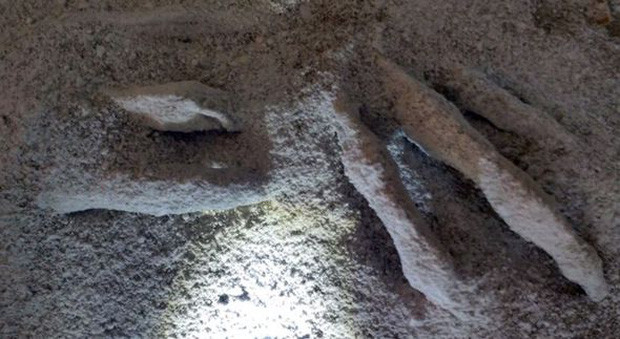 Picture 2 of Inside the grave contains an alien