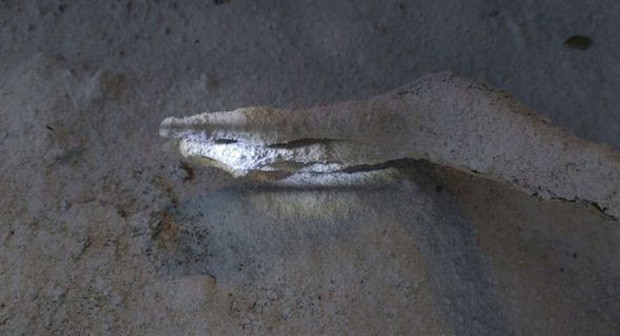 Picture 3 of Inside the grave contains an alien