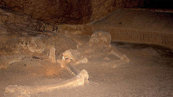Picture 8 of Inside the Mayan goddess cave