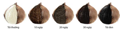 Picture 2 of Instructions on how to ferment black garlic for healing