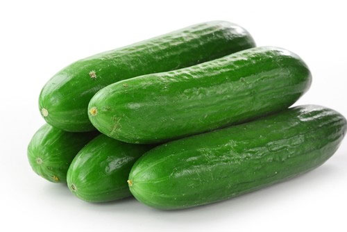 Picture 3 of Instructions on how to grow cucumbers in pots safely and wrongly
