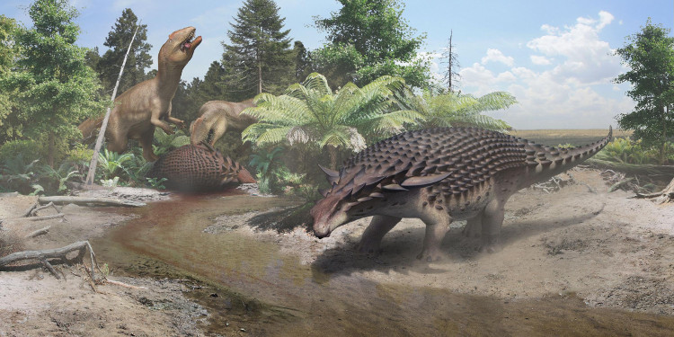 Picture 1 of Intact fossils after 110 million years of armored dinosaurs