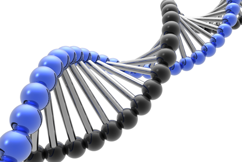 Picture 1 of Intelligence is not only due to genetics