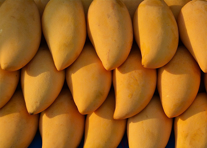 Picture 3 of Interesting benefits of mango fruit