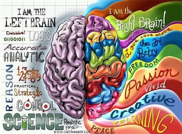 Picture 3 of Interesting discovery about the human body